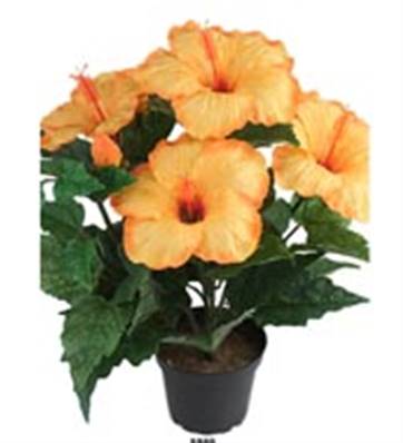 Fleurs Hibiscus Artificiel Orange Safran en pot H 40 cm