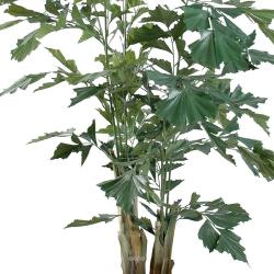 Caryota Artificiel Palmier en pot H 190 cm