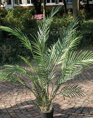 Areca Artificiel Palmier en pot H 120 cm