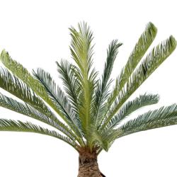 Palmier Cycas Artificiel en pot H 100 cm Vert