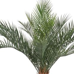 Phoenix Artificiel Palmier en pot H 130 cm