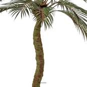 Phoenix Artificiel Palmier en pot 120 cm