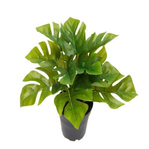 Faux Philodendron Monstera en pot feuilles ouvertes H 17 cm D 21 cm