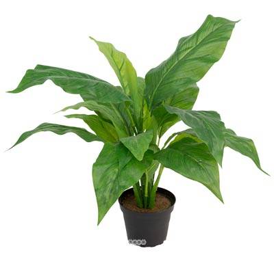 Plante Spathiphyllum Artificielle en pot H 40 cm