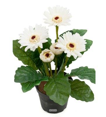 Gerbera Artificiel Crème en pot H 30 cm