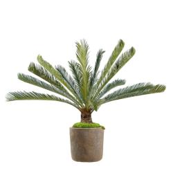 Palmier Cycas Artificiel en pot H 100 cm Vert