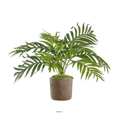 Palmier Areca artificiel en pot ceramique H 60 cm Superbe