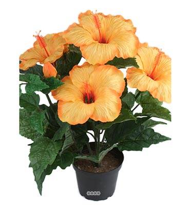 Fleurs Hibiscus Artificiel Orange Safran en pot H 40 cm