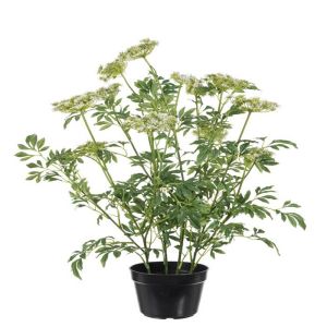 Fausse plante fleurie, Trachelium artificiel en pot, H 100 et D 70 cm