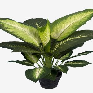 Plante verte, Dienffenbachia artificiel en pot H 60 cm, D 57 cm