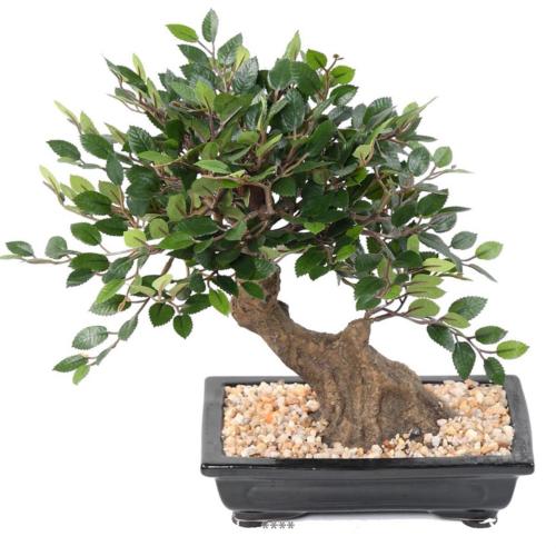 Bonsaï Orme de Chine Artificiel H 30 cm D 28 cm en pot