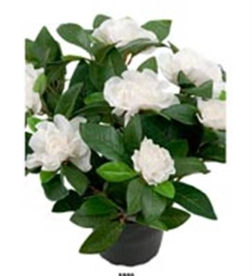 Plante Fleurie Gardenia Artificielle en pot H 25 cm