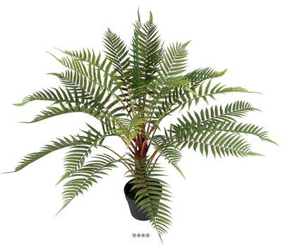 Plante verte, Fougère Arborescente artficielle en pot, H 80 cm