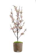 Faux Cerisier factice Prunus du japon tronc PE H 90 cm D 40 cm Fleurs Roses