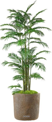 Areca Artificiel Palmier en pot H 230 cm multi-troncs