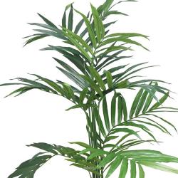 Kentia artificiel Palmier en pot H 180 cm