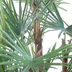 Palmier Livistona Artificiel en pot H 110 cm Vert