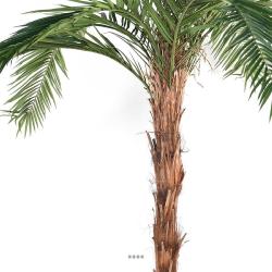 Phoenix Artificiel Palmier en pot H 370 cm
