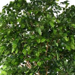 Hêtre Artificiel Arbre en pot Vert H 400 cm