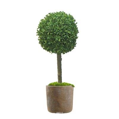 Buis de boule factice sur tronc en pot traité anti-UV H 60 cm D 25 cm- BEST