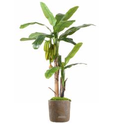 Bananier Artificiel Palmier en pot H 180 cm 2 troncs avec bananes