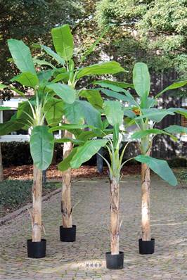 Bananier Artificiel Palmier en pot H 300 cm