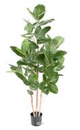 Ficus Artificiel Elastica tronc bois en pot