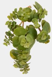 Mini succulente artificielle en piquet H 15 cm