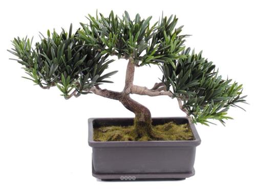 Pin Podocarpus Bonsaï Artificiel H 23 cm