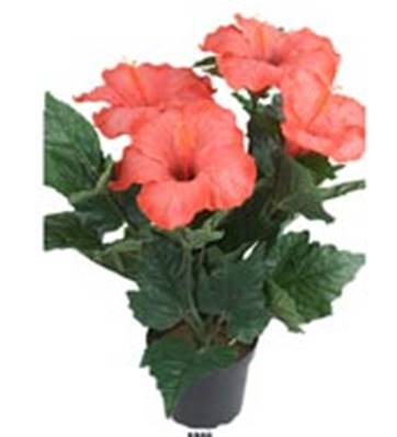 Fleurs Hibiscus Artificiel Rouge en pot H 40 cm