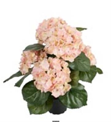 Fleurs Hortensias Artificiels Rose-Crème en pot H 40 cm