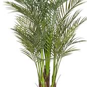 Areca Artificiel Palmier en pot H 160 cm 6 troncs