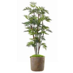 Parlour Artificiel Palmier en pot H 200 cm 15 troncs