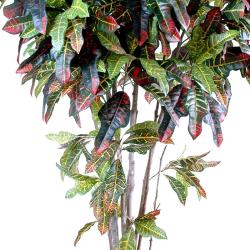Croton Artificiel Arbre en pot Troncs Bois H 110 cm Vert-rouge