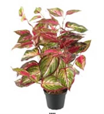 Plante verte Coleus artificiel en pot H 40 cm