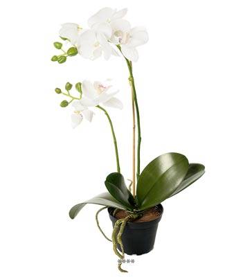 Fleurs Orchidées Artificielles Blanc Neige H 40 cm