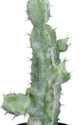 Cactée Cactus Cierge Artificiel en pot H 23 cm