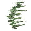 Guirlande de Peperomia artificielle ramifiée Feuillage factice H 180 cm superbe