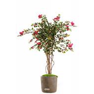 Bougainvillier factice tronc bois H150 cm Rose Fushia