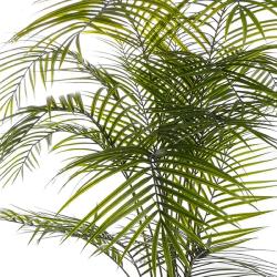 Palmier Areca artificiel anti-UV en pot H 175 cm 