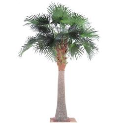 Chamaerops Washingtonia Artificiel Palmier H 380 cm