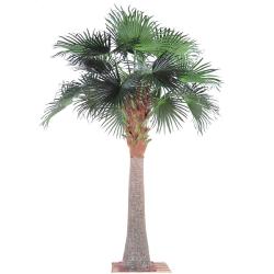 Chamaerops Washingtonia Artificiel Palmier H 380 cm