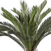 Cycas Artificiel Palmier en pot H 130 cm