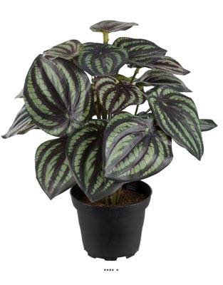 Peperomia artificiel plante Verte factice en pot lesté Qualité Pro H 25 cm D 20 cm Blanc-vert