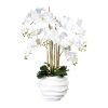 Fausse Orchidee en vase résine Blanc H 105 cm D 75 cm 7 hampes toucher reel Crème
