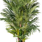 Areca Artificiel Palmier en pot H 220 cm 13 troncs