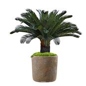 Palmier Cycas artificiel sur pied H 130 cm