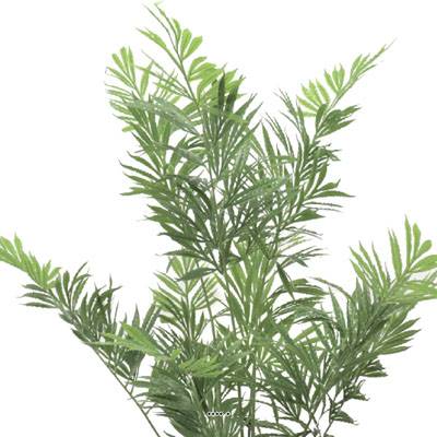 Faux arcea "Caryota" H140 en pot