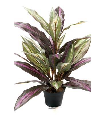 Plante Dracaena Artificiel en pot H 40 cm