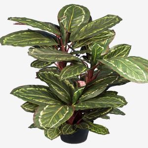 Maranta plante verte artificielle en pot H 104 cm D 60 cm